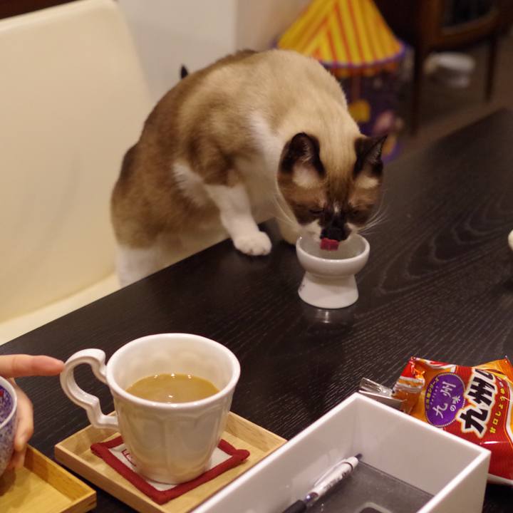 8963fbae dccf 48e1 93cb 7f389048cc4b 1544674586190