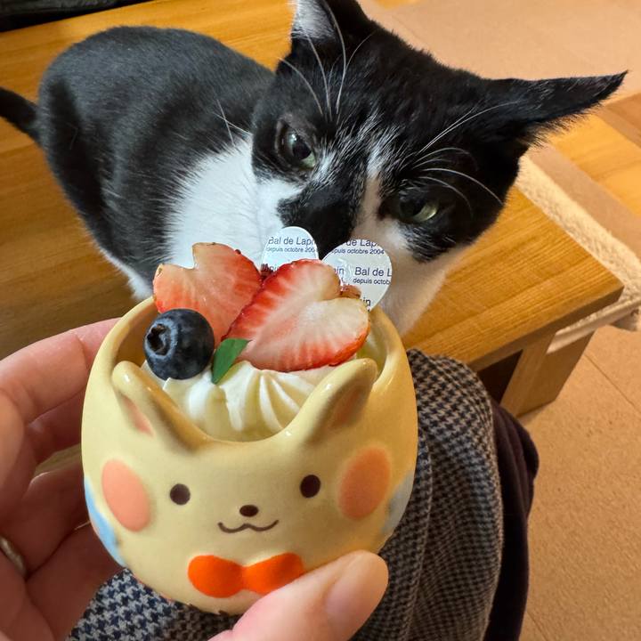 89640a5c f107 4bff 9731 3428d6f3cfe3 1773096789544