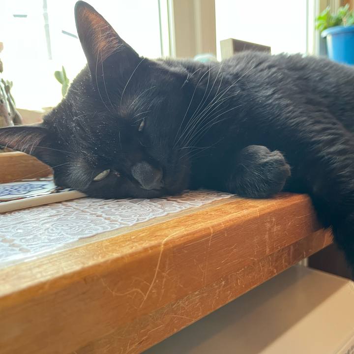 896419b2 4d7d 41a2 9cde a99b49794a3e 1673562957600