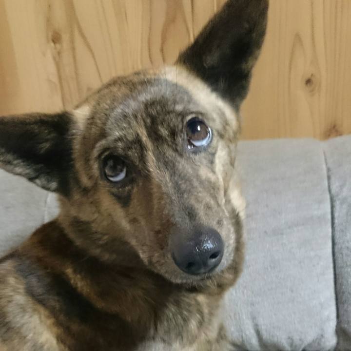 89642b1f 675b 49a0 a470 8cef43369696 1518126272458