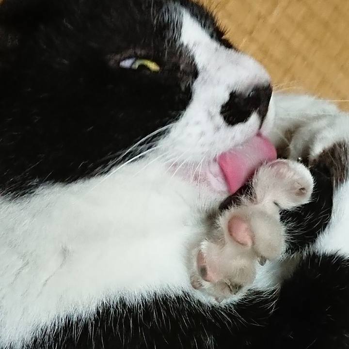 89643de9 29e2 4b42 85ef f1c7e5fd1255 1532577012680