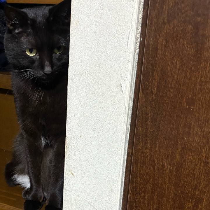 89644fe8 3c84 4e34 b629 6eb9b0738da0 1766583911513