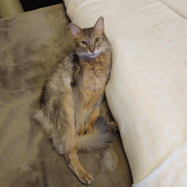 89647e81 5541 490f 817e bead6083164d 1615817873081