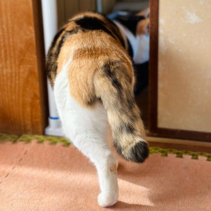 89648177 0863 4149 ae51 60cee1f59b96 1675652661392