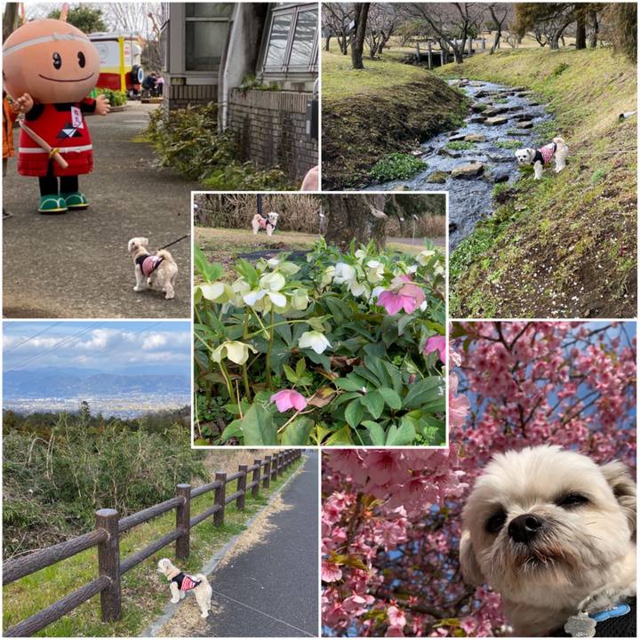 896488bf 78c4 4fe6 830c d08b9f06a63e 1583053175038