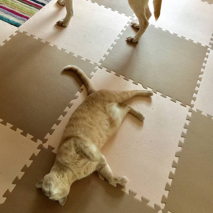 8964956d 7d0e 41a5 a178 432b0c78395b 1540268176009