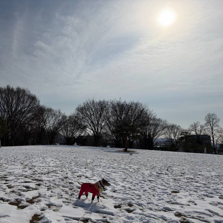 896498a5 1ac6 4999 a596 2d57fa2694b8 1768473802880