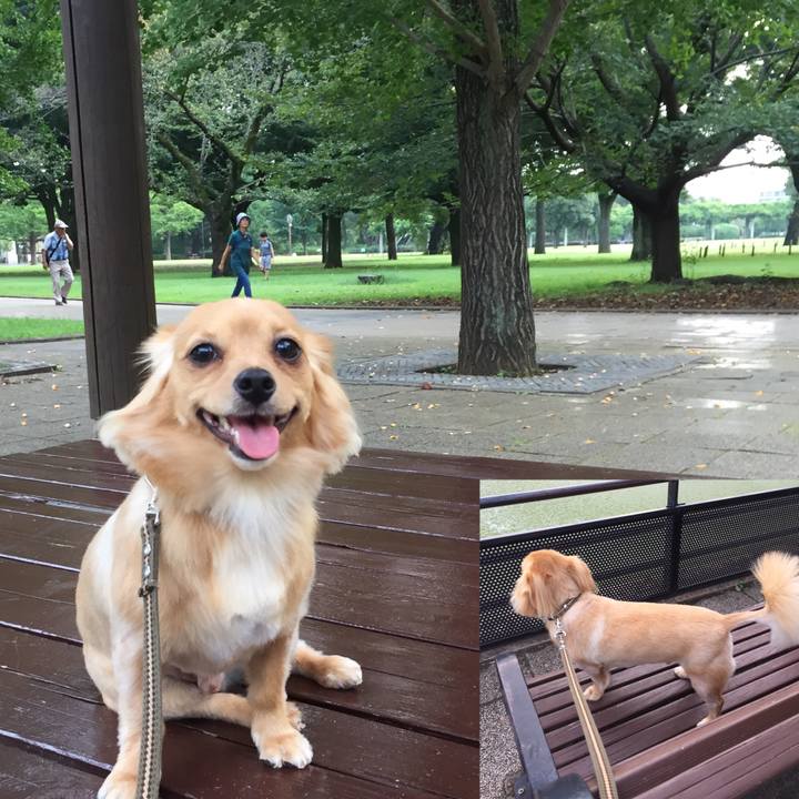 8964c65c 3f74 4a70 9a33 5ecc47ffb927 1567675942042