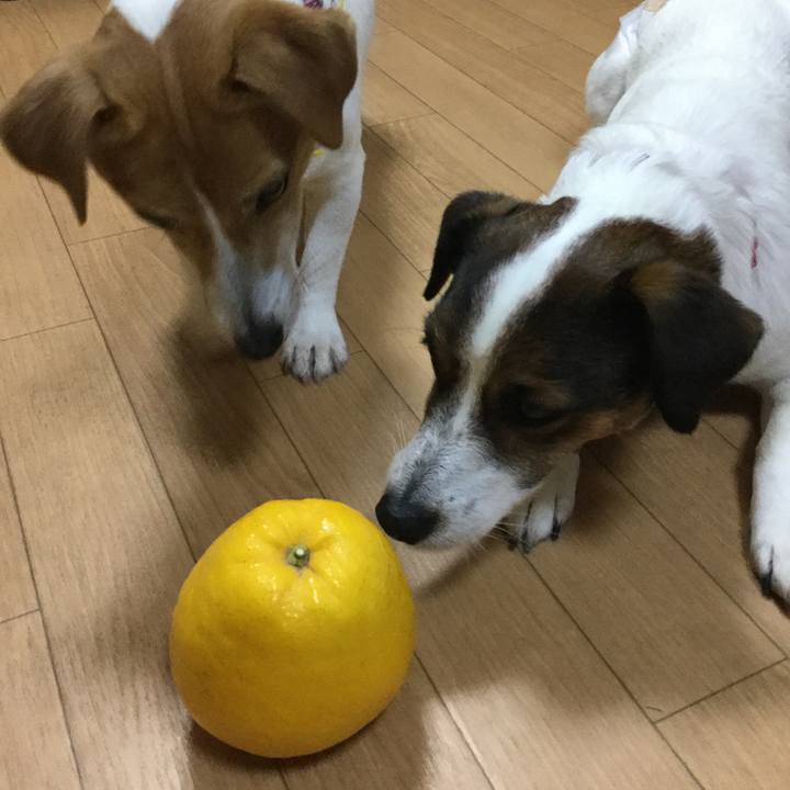 8964c8c3 358b 427b a485 b4a1afc3cadf 1555496392359