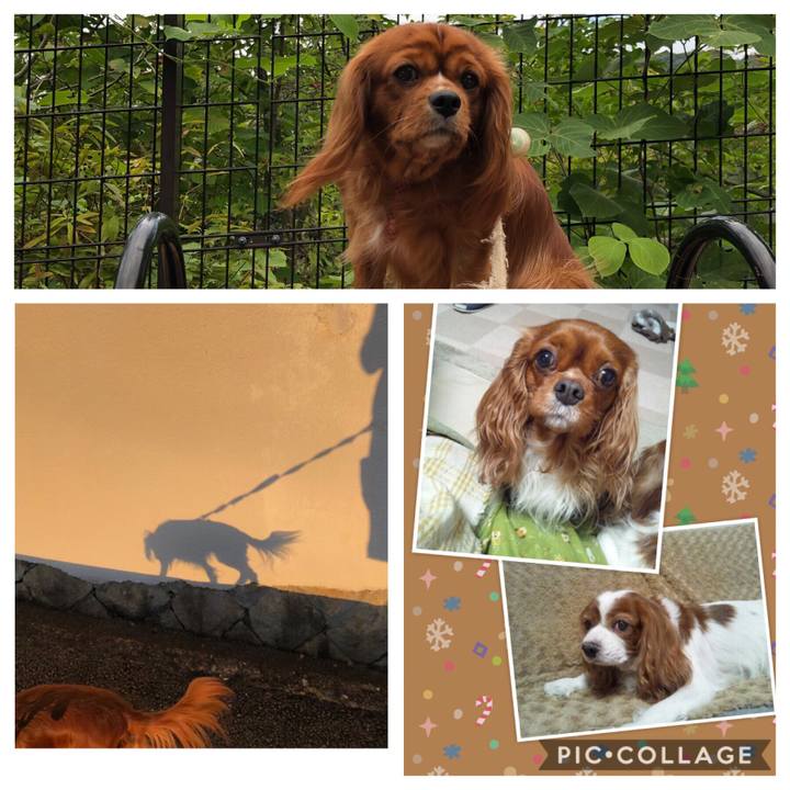 8964d2e4 f794 410f 99c8 391cf42d2c0d 1571237770476