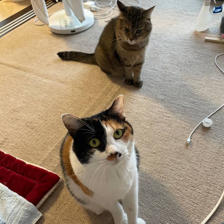 89651fdb eb53 45d8 82f9 89e4a8ca8054 1629155054967