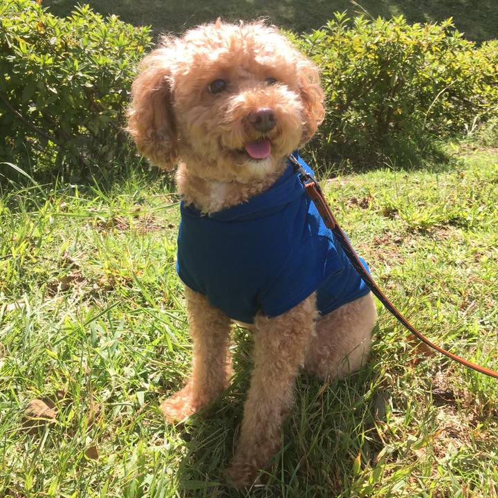 896548b9 fe9c 4955 8316 76a537acbbb7 1538445589376