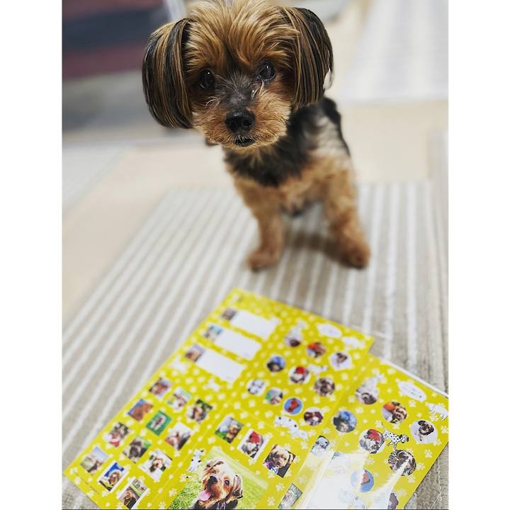 8965574c f73e 4667 9ab5 59e91f99a949 1653025793935