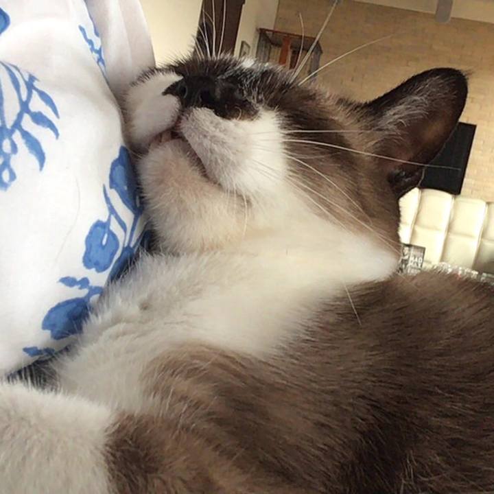 89658b6d 6539 4c77 943a 46dd90793095 1532331103404