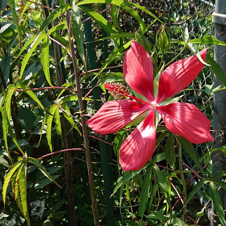 89658dca 6d97 4cb1 b27f c1e3df5e8bf3 1658536873719