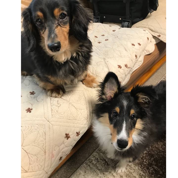 8965a985 aec3 4884 8a26 223f8ad2500a 1514410692458