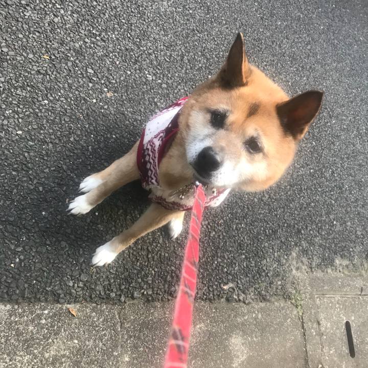 89660914 70ba 402d a39b 6f864ace303a 1517352422198