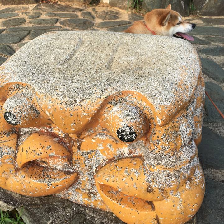 89662aa5 b71f 4f34 b8e6 3db078fca083 1566081794900