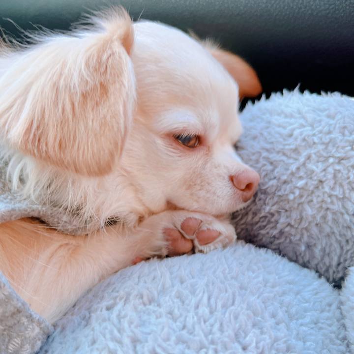 896639be 1123 4e59 bb09 1f77735c461a 1672386798133