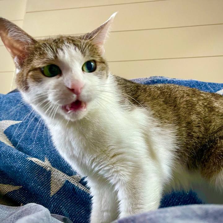 8966831c 09b9 4175 9356 726b7828f323 1627372271562