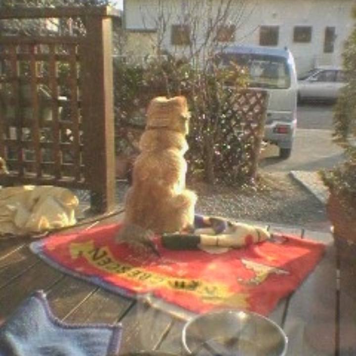 89668d4f ecce 4a18 94f9 3cd200e86e80 1577075289376