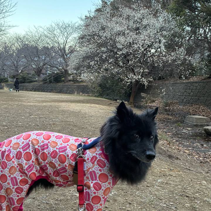 89668fae bde7 43b9 89ac 5b895e456fbb 1769990132900