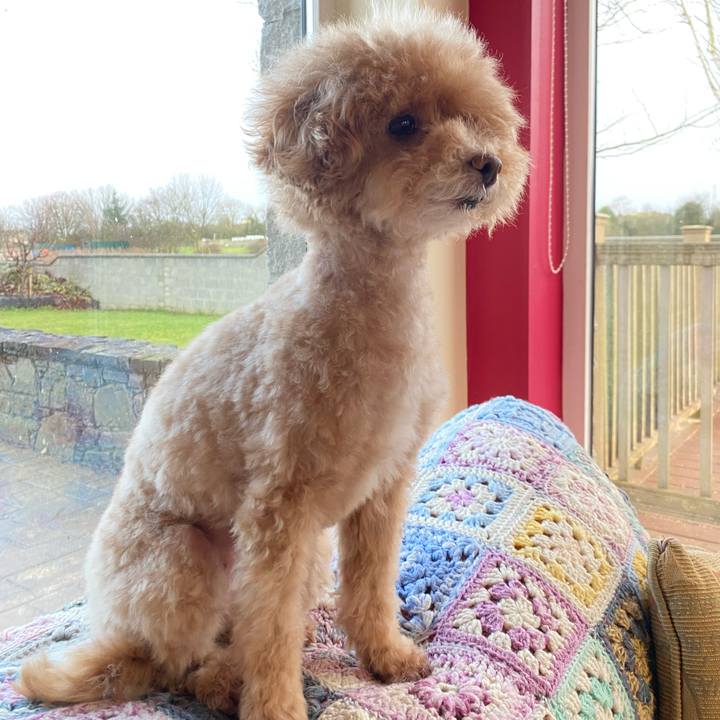 896696b3 bb2d 45e0 aee6 d2bd3f72f732 1675529733438