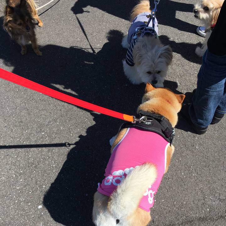 8966f3cc ebcd 4949 b9e6 cb20a7a18357 1583898624230