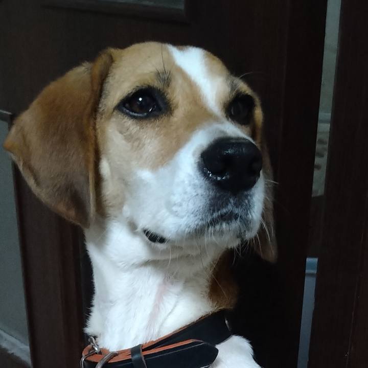 8966fab6 7dce 401d b86b 62a9b28b8fd5 1631975011421