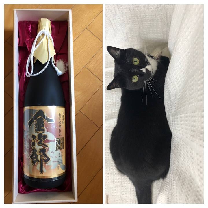 89671a78 9024 44c1 a45d 48449e8f4788 1563321440485