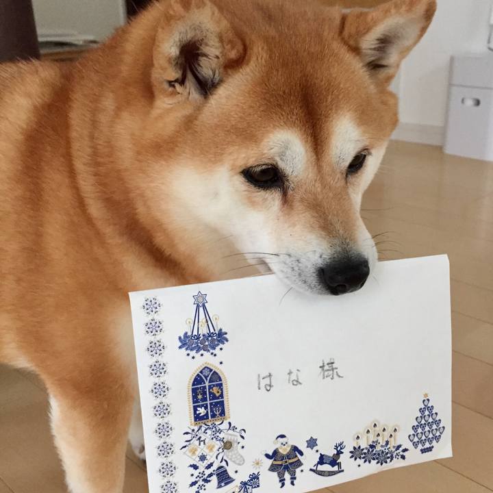 89675083 bfb7 4dfb a520 d9b2ab00f90a 1545670491215