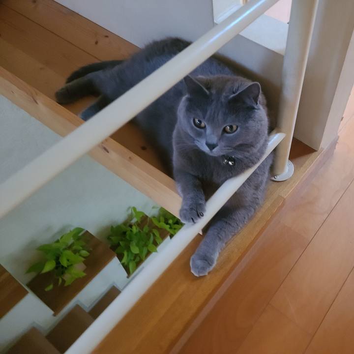 8967775c 3948 4ec3 aedc 5f7c3cd66dd9 1624523218445