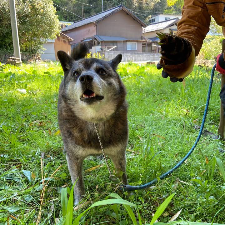 89678a94 4636 4191 bba4 e25c6e7a51ea 1682226794779