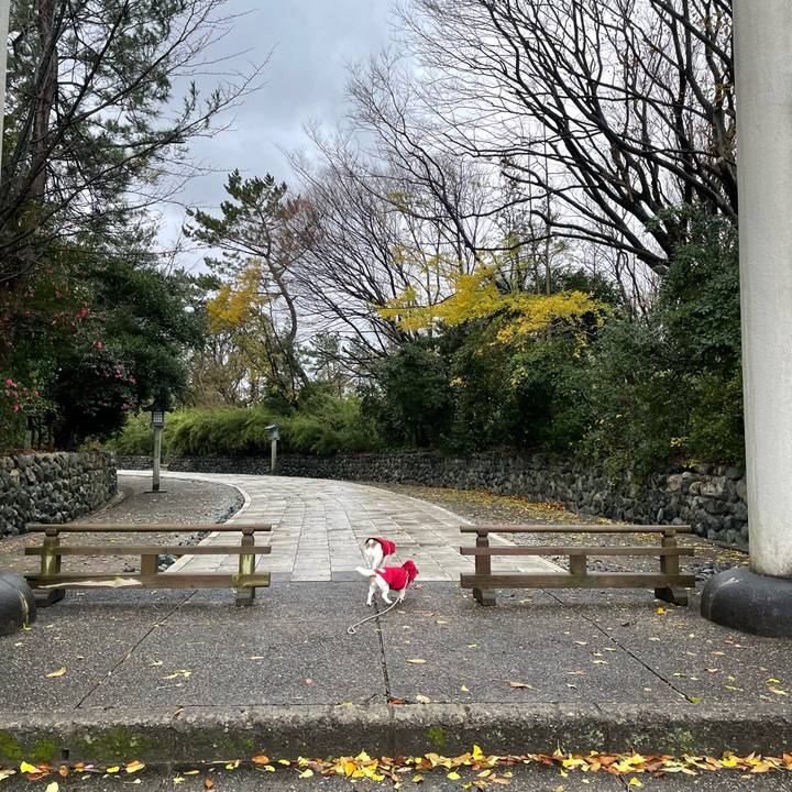 8967c104 b598 49b0 82d8 3d05d44f476c 1637707752934