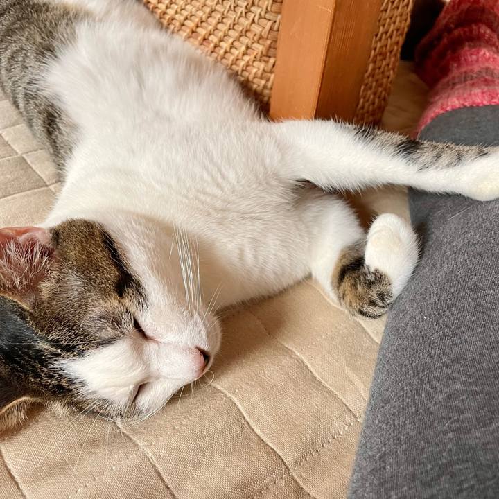 8967fcd8 ed5e 4766 ba13 b67a795fc314 1763523434840