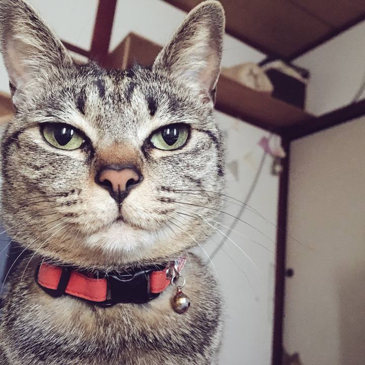 896800e7 cad0 4455 baee 8c3bbd32e497 1525047546643