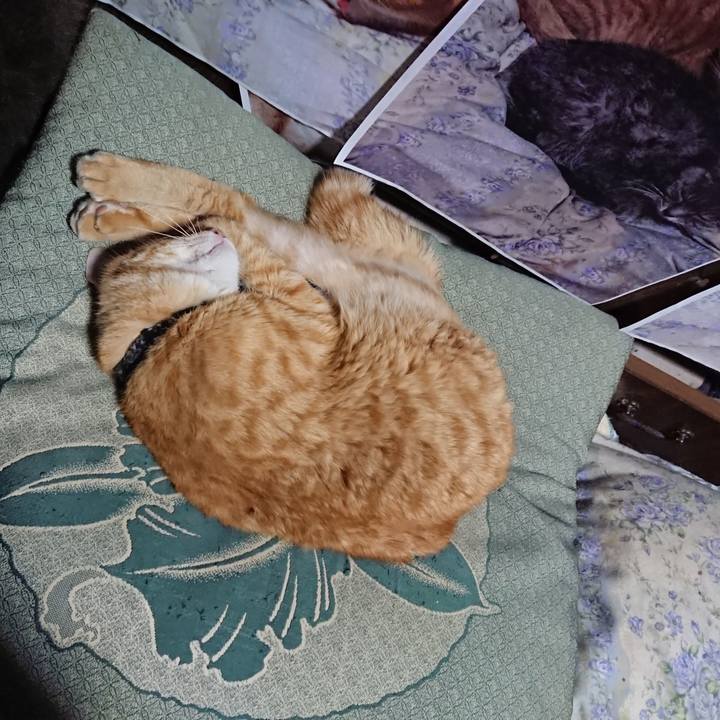 89681a59 c0db 4c0a 877b dc23fbd52cd6 1657714012911