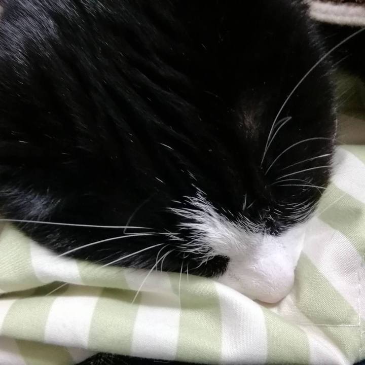 89687622 ed03 4c59 b833 32cf60accdf5 1613536082661