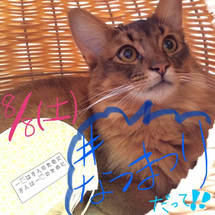 89687a77 fba5 4714 b3d2 58a37d94c8ea 1596608669770