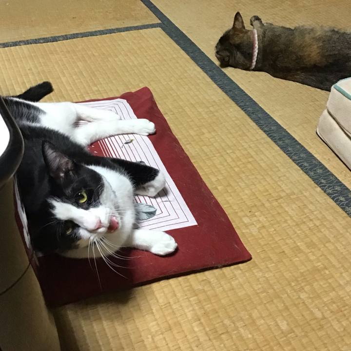 89688249 9192 41c8 91a2 54bc5c676bd2 1663159865815