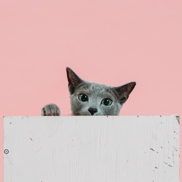 89689b56 a178 41f8 8f5d d7f7ec5a6d34 1682413716731