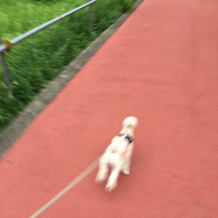 8968c85e 60b9 485d bb13 7b7eb0f69895 1534413894152