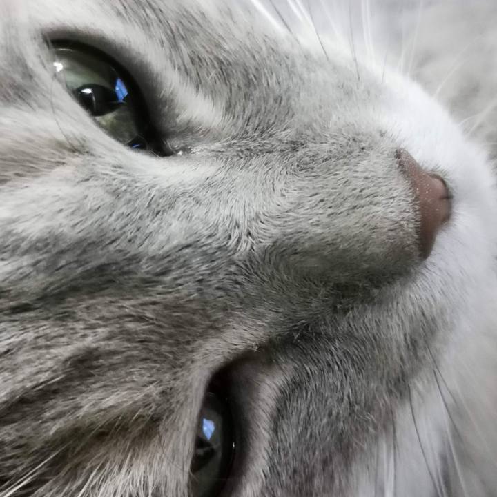 8968e474 9626 4695 b5b2 9205318e224c 1690608498395