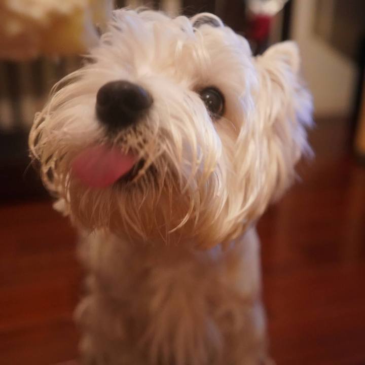 8968ed8e 09f1 4ee2 85e7 8523f1e7c82e 1513694594067