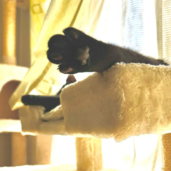 89690653 d7f0 4dc4 90fc 14df8fd86843 1740200374086