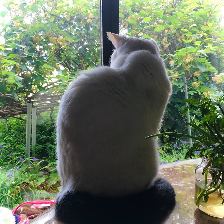 89692323 ef33 46dc 9123 00306b70760a 1622707651927