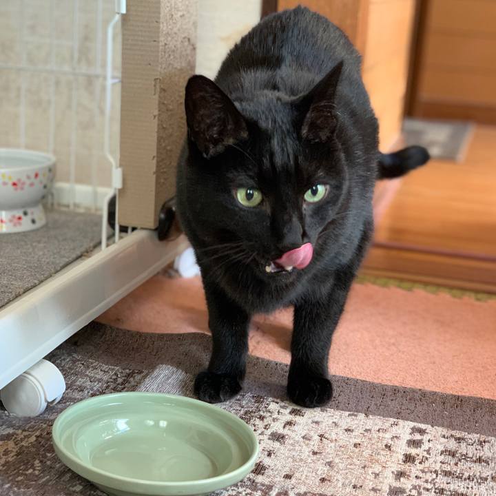 896925dd af9b 4095 bcde a20d84566a89 1585099252458