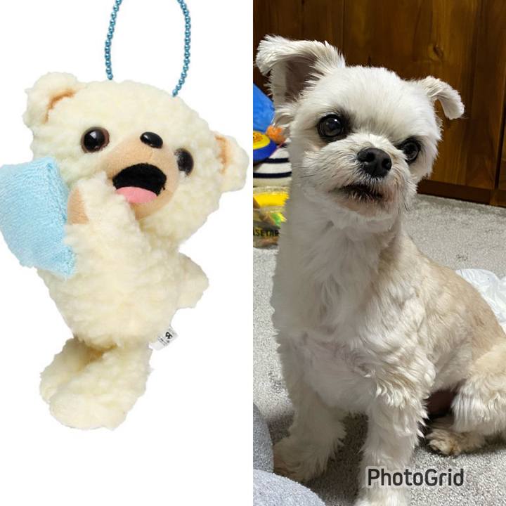 89696cda 9e1a 45da 976b bc1ec971e80f 1677236040905