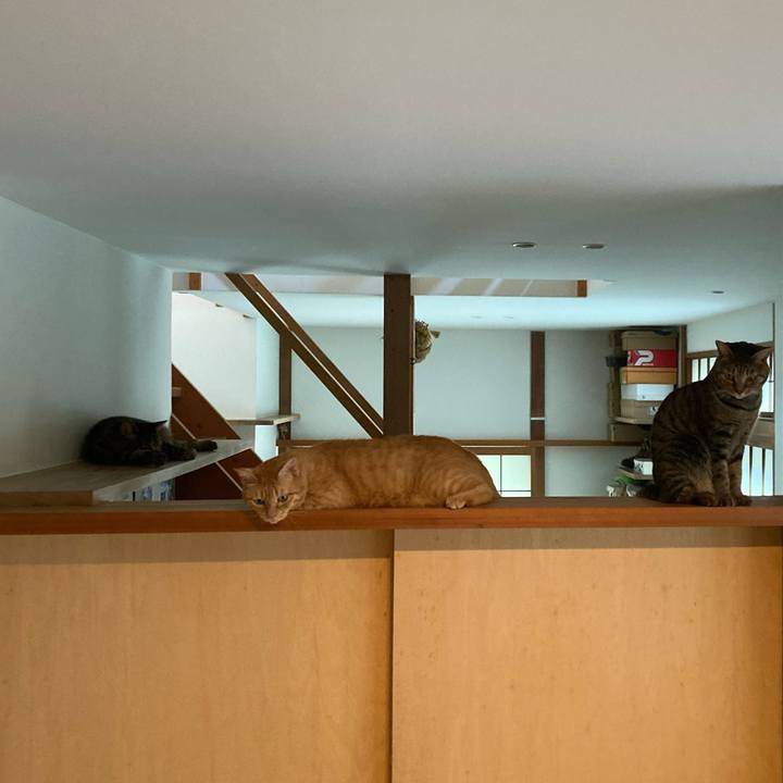 8969813f cd50 417e 9af5 d7ed6c847eb8 1726145981549