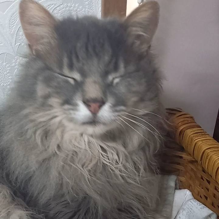 89698aff feea 4111 bfb6 8451e9641298 1686781201859